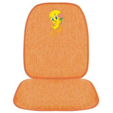 ΠΛΑΤΟΚΑΘΙΣΜΑ ΨΑΘΑ TWEETY