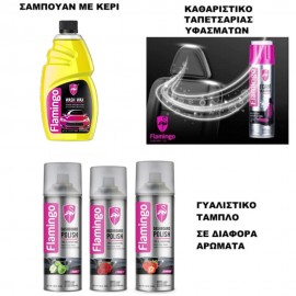 ΣΕΤ ΚΑΘΑΡΙΣΜΟΥ-ΠΛΥΣΙΜΑΤΟΣ ΑΥΤΟΚΙΝΗΤΟΥ