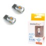 ΛΑΜΠΑ 6 LEDS T10 wedge-Canbus 12V